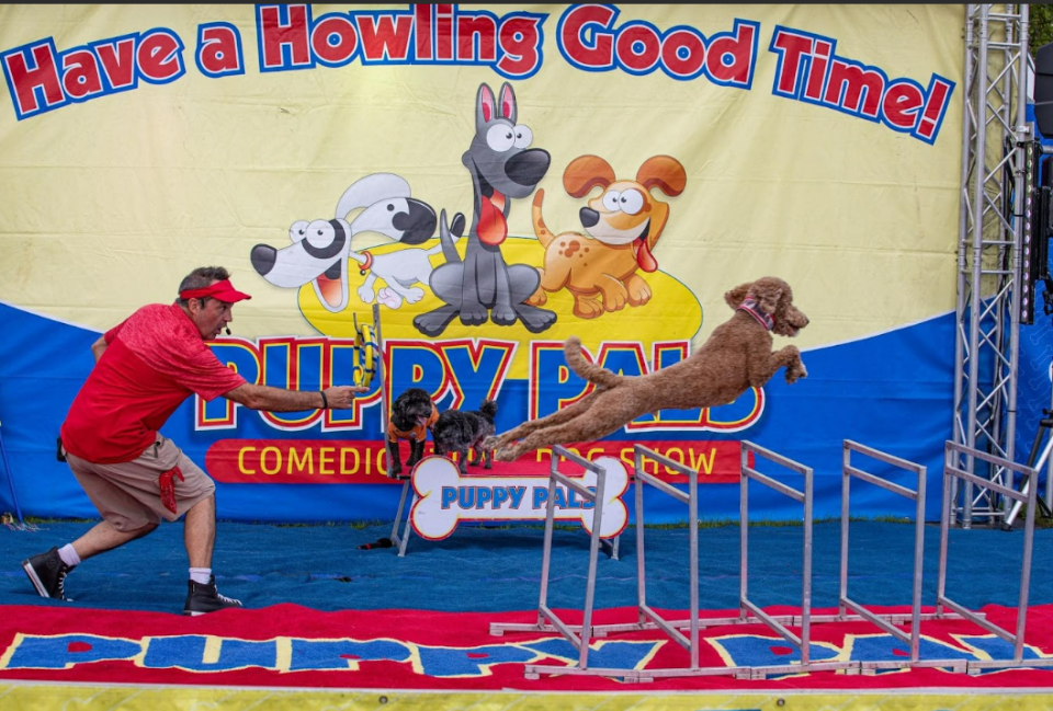 Puppy Pals Live performing tricks. The show will be coming to McMorran on March 15.