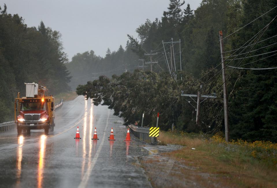 EASTPORT, MAINE - SEPTEMBER 16: A pine tree lies across power lines after it was knocked over due to Post-Tropical Cyclone Lee on Sept. 16, 2023, in Eastport, Maine. Formerly a hurricane, the storm was downgraded, but forecasters say it will remain large and dangerous. (Photo by Joe Raedle/Getty Images) ORG XMIT: 776033164 ORIG FILE ID: 1684651684