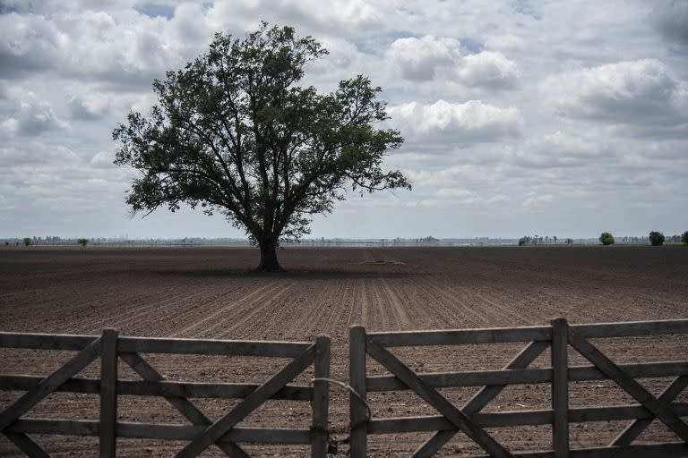 Establecimiento en Arminda, sur de Santa Fe