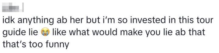While others were just intrigued by the star’s apparent commitment to the bit, with a comment reading: “idk anything ab her but i’m so invested in this tour guide lie �� like what would make you lie ab that that’s too funny.”