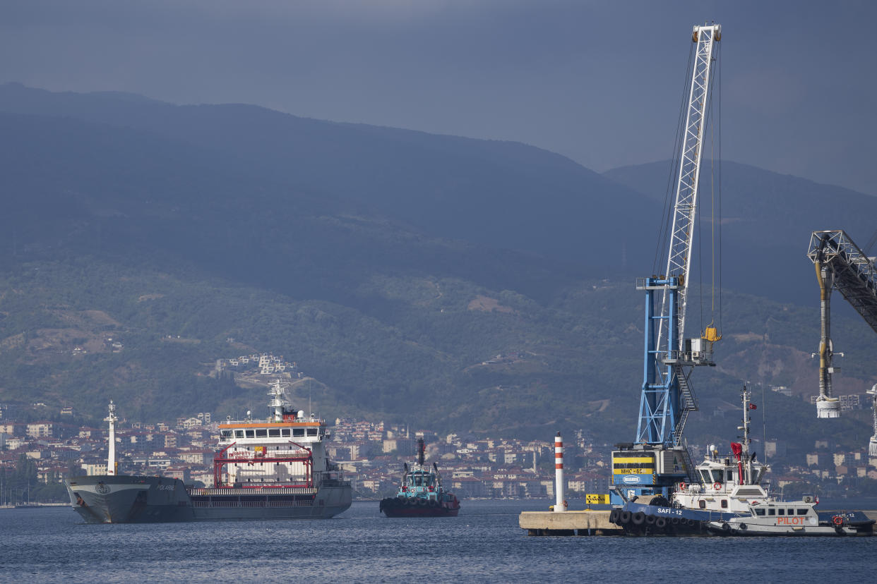 The cargo ship Polarnet, left, arrives to Derince port in the Gulf of Izmit, Turkey, Monday Aug. 8, 2022. The first of the ships to leave Ukraine under a deal to unblock grain supplies amid the threat of a global food crisis arrived at its destination in Turkey on Monday. (AP Photo/Khalil Hamra)