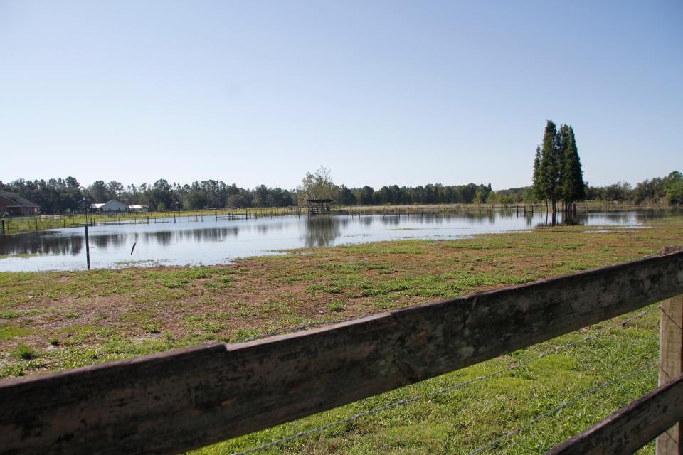 Flooding from Itchepackesassa Creek covers a pasture on the property of Barry and Barbara Acor in the County Class Meadows neighborhood northwest of Lakeland.