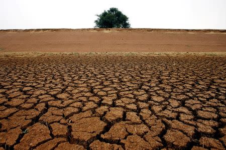 Cracks are seen in a dried-up dam near the western New South Wales town of Parkes March 7, 2007. REUTERS/David Gray/File Photo