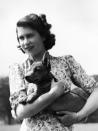 <p> Behold, a corgi! This is Elizabeth&apos;s puppy Sue hanging on the grounds of Windsor Castle. Elizabeth lived here with her family during the war due to safety concerns. </p>