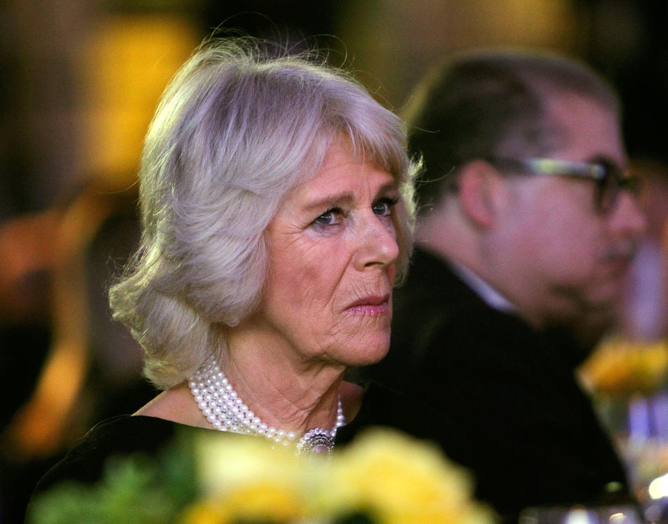 WASHINGTON, DC - MARCH 19:  Camilla Parker Bowles, Duchess of Cornwall, attends the International Conservation Caucus Foundation Gala where her husband, Prince Charles, Prince of Wales, was presented with the ICCF Teddy Roosevelt Award for Exceptional Leadership in Conservation at the Andrew Mellon Auditorium on March 19, 2015 in Washington, DC.   (Photo by Paul Morigi/WireImage)