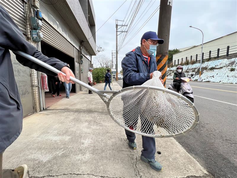 狒狒在桃園地區逃竄17日。（圖／翻攝畫面）