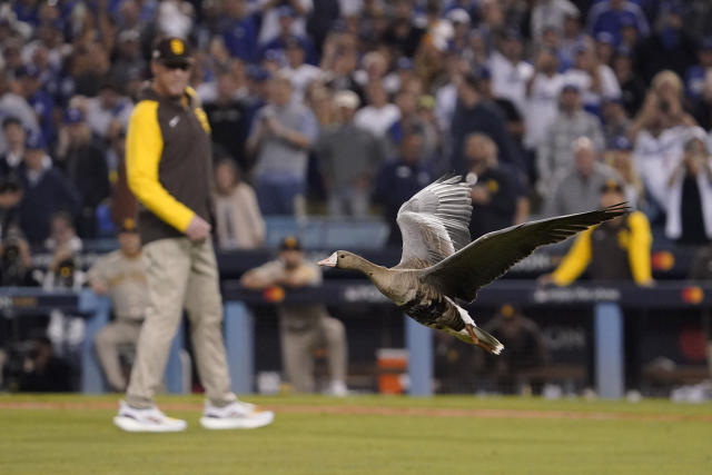 Padres 5-3 Dodgers (Oct 12, 2022) Final Score - ESPN