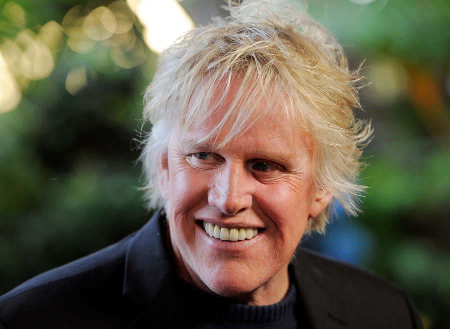 Gary Busey appears at the Entertainment Studios’ Daytime Emmy and series launch party for “Mr. Box Office” in Los Angeles on June 19, 2012. (Photo by Chris Pizzello/Invision/AP, File)