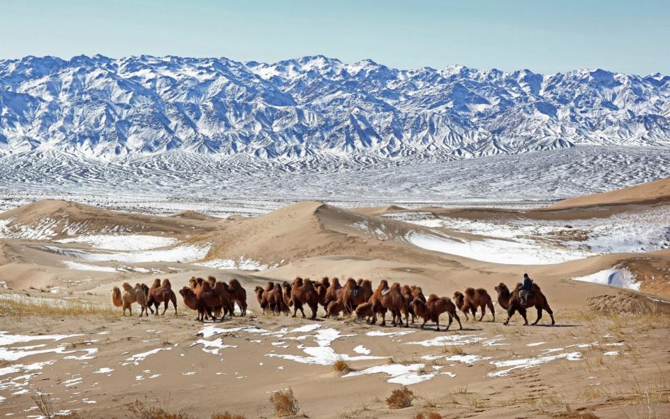 Nomadic herders in Mongolia -  Timothy Allen