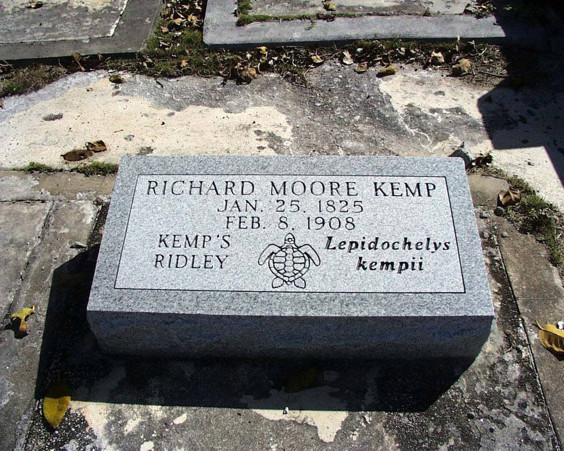 Richard Moore Kemp, a Key West furniture merchant and amateur naturalist, gave his name to a species of sea turtle. But until recently, his grave in the Key West Cemetery was unmarked. A group of local environmentalists and historians got together and bought a stone for the grave.