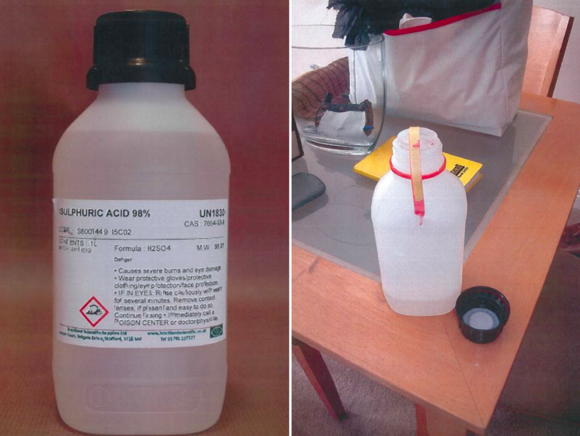 <em>Wallace purchased a bottle of 98% concentration sulphuric acid (SWNS)</em>