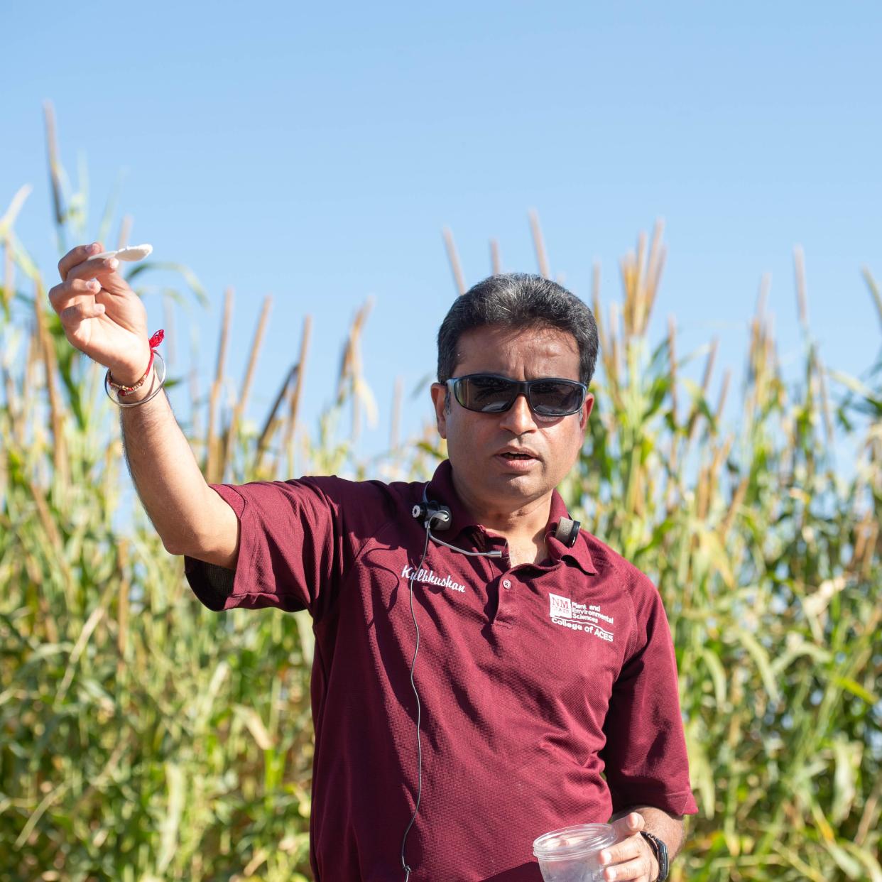 Kulbhushan Grover, a researcher in New Mexico State University’s College of Agricultural, Consumer and Environmental Sciences, gives a presentation at NMSU’s Fabián García Science Center in September 2021. Grover’s research findings show guar can be successfully adapted to grow in semi-arid desert regions like New Mexico because of its ability to tolerate heat and water stress.