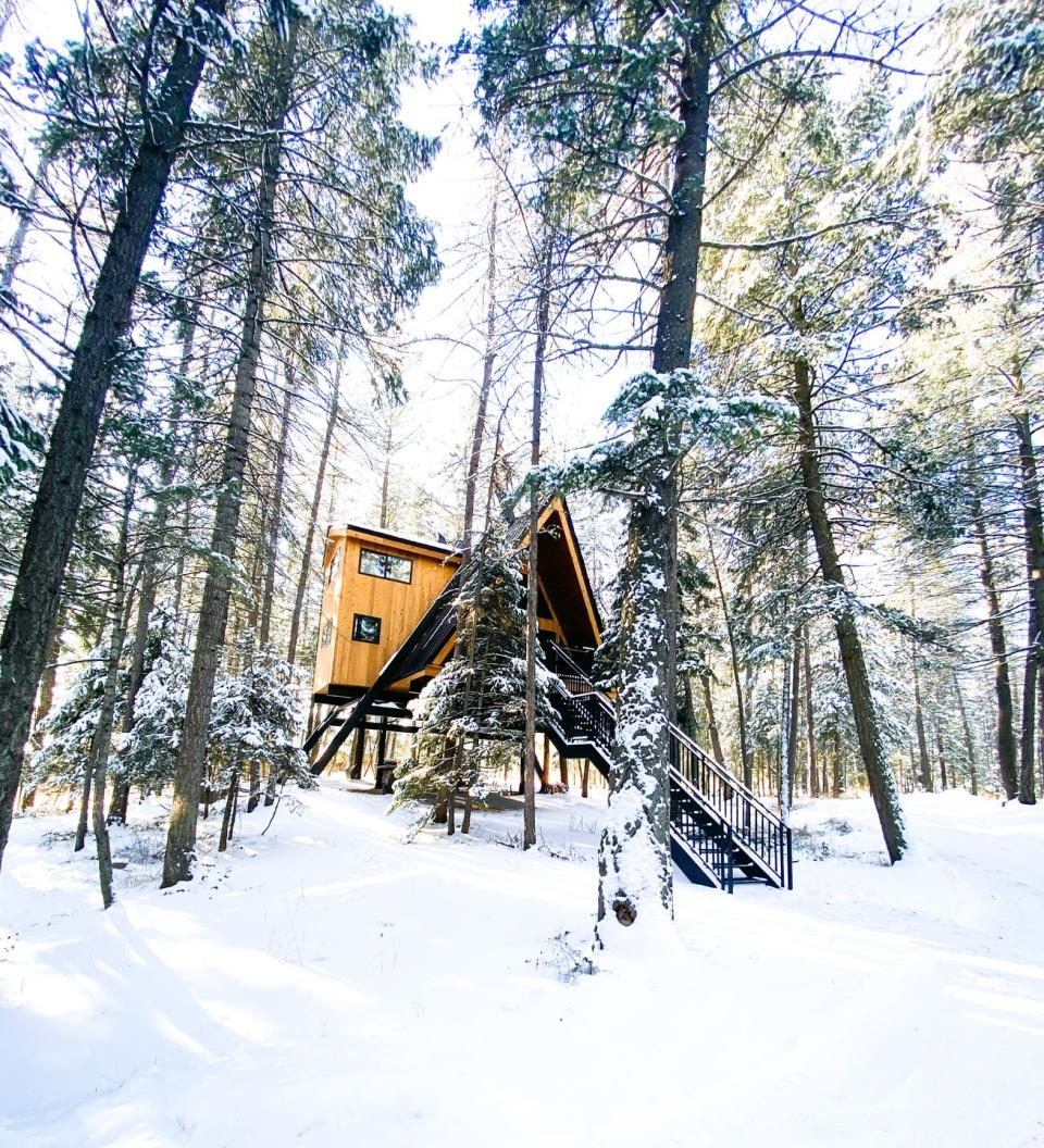 Raven’s Nest Treehouse (Montana)