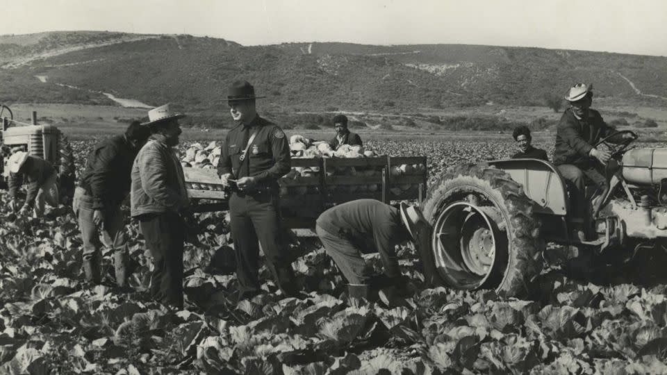 Patrol agents check the papers of agricultural workers in the 1950s. While the <em>bracero</em> program provided a legal pathway for guest workers, crackdowns on illegal immigration were also common during that period. - USCIS History Office and Library/Department of Homeland Security