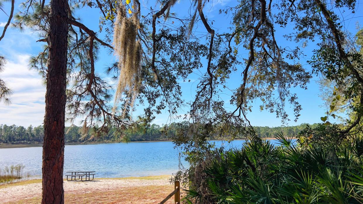 Clearwater Lake is the scenic centerpiece of the area abutting the first Florida Trailhead.