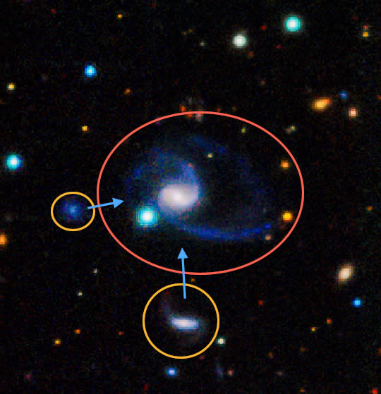 This image shows one of two "exact matches" to the Milky Way galaxy found recently. The larger galaxy, called GAMA202627, clearly has two large companions off to the bottom left. In the image, bluer colors indicate hotter, younger stars, like m