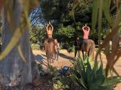 <p>Es befindet sich in der SoCal Saddlery (einem Reitsportgeschäft) im Huntington Central Park Equestrian Center. Foto: Quelle / Spirit Horse Yoga </p>