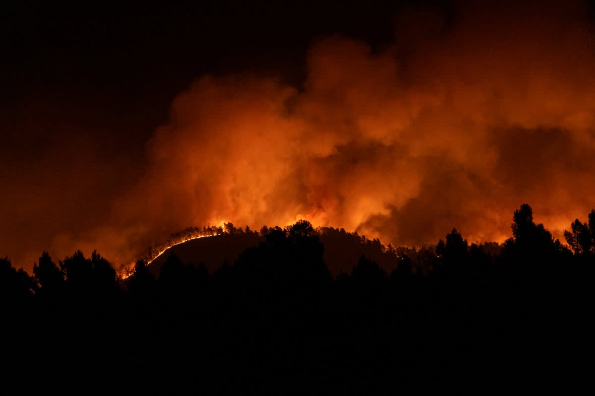 ESPAÑA-INCENDIOS FORESTALES (AP)