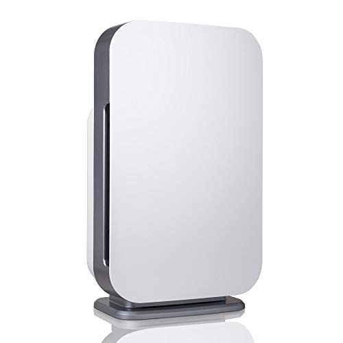 Alen BreatheSmart 45i HEPA Air Purifier (Amazon / Amazon)