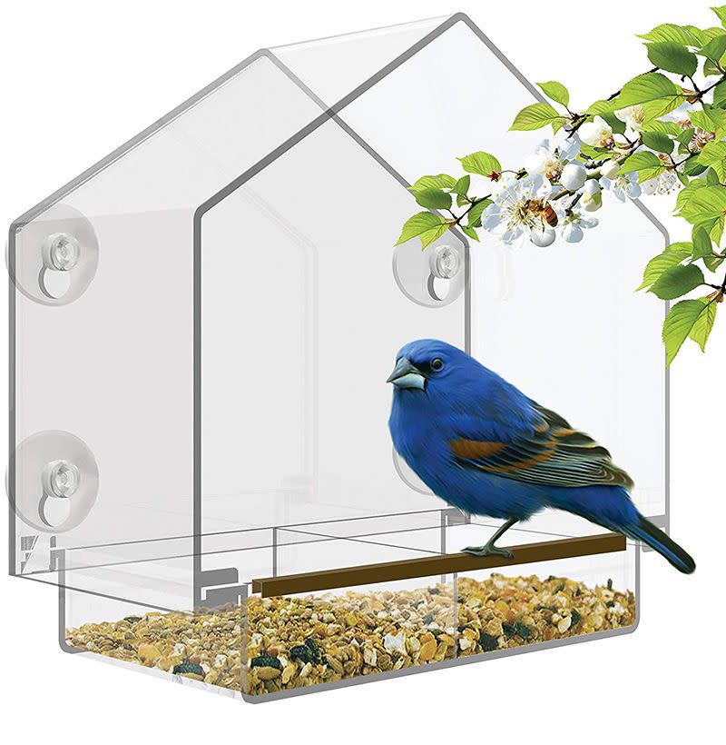 Window Bird Feeder