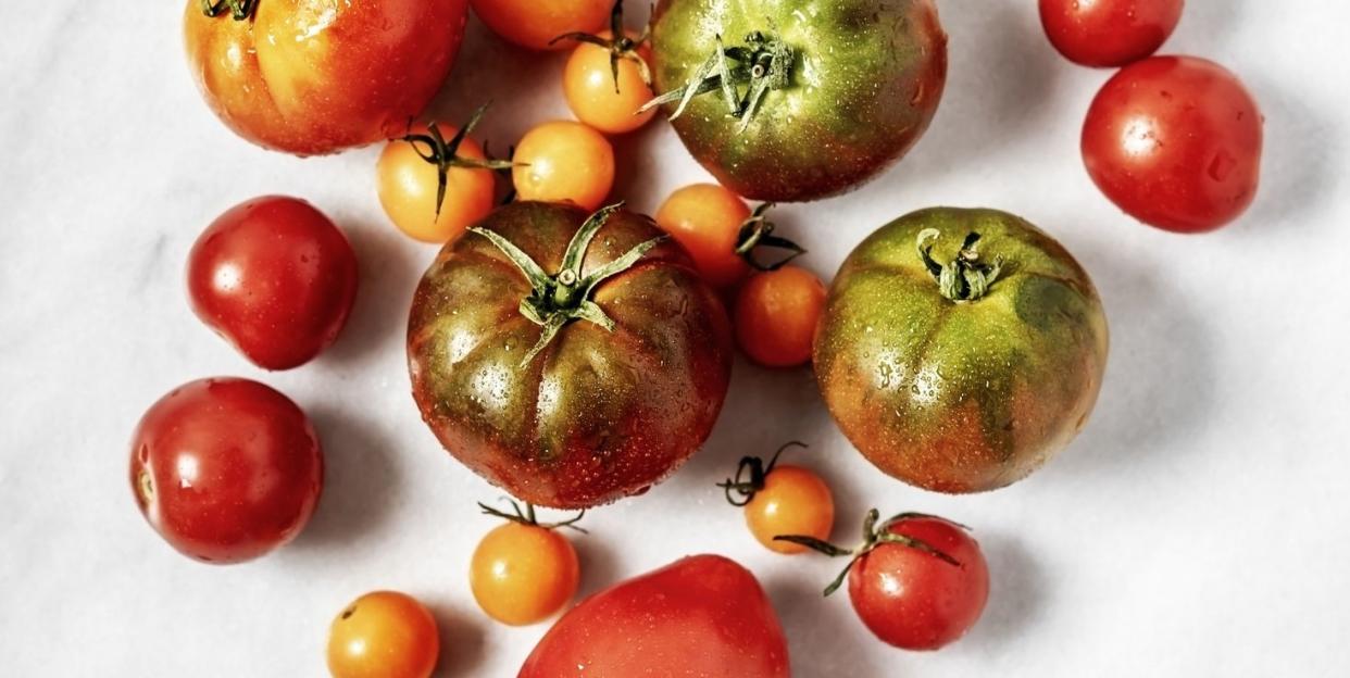 types of tomatoes on white marble background