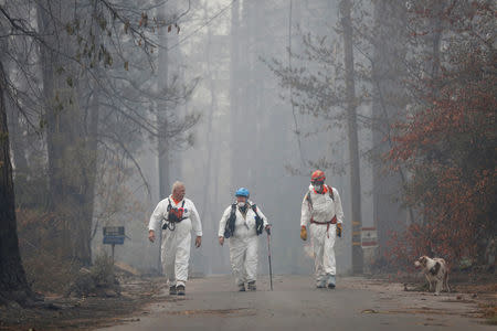 Trish Moutard (C), of Sacramento, and other volunteers search for human remains with Moutard's cadaver dog, I.C., in a neighborhood destroyed by the Camp Fire in Paradise, California, U.S., November 14, 2018. REUTERS/Terray Sylvester
