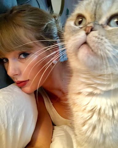 <p>Taylor Swift/Instagram</p>