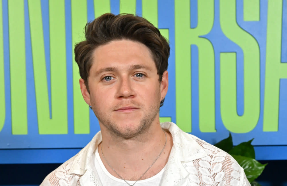 Niall Horan's comeback single 'Heaven' is out now credit:Bang Showbiz