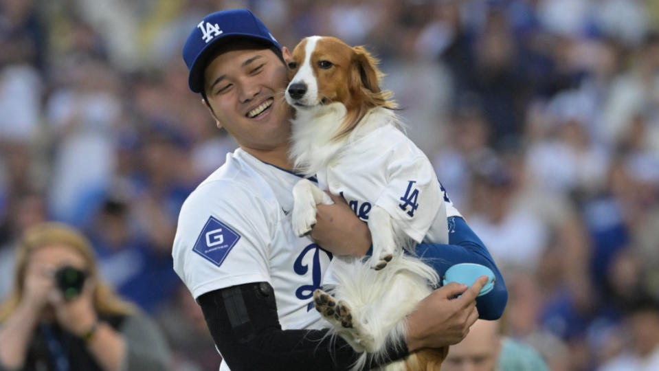 道奇球星大谷翔平28日帶著愛犬「彈額頭」開球。路透社