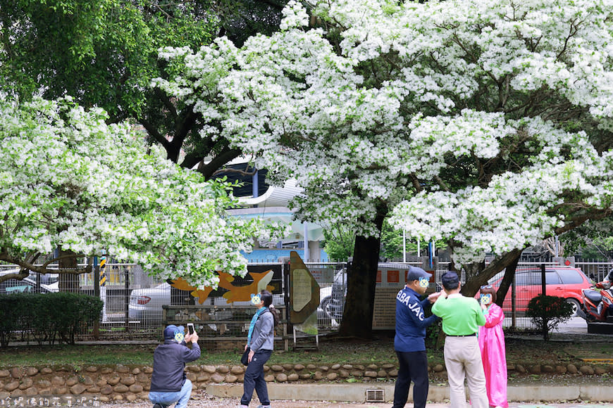 桃園｜大湖紀念公園