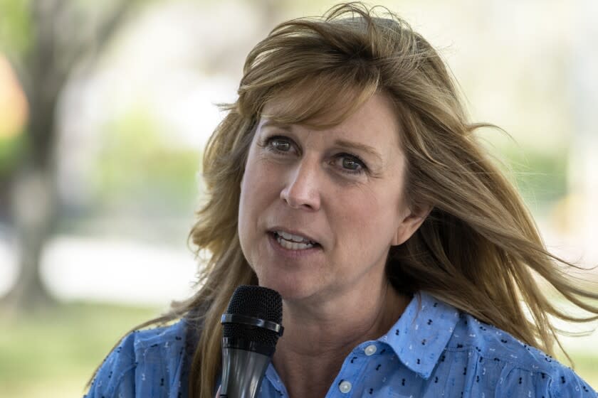 LANCASTER, CA - APRIL 02: Christy Smith 2020 Democratic nominee for Congress speaks to a group during a BBQ meet & greet at Jane Reynolds Park on Saturday, April 2, 2022 in Lancaster, CA. (Francine Orr / Los Angeles Times)