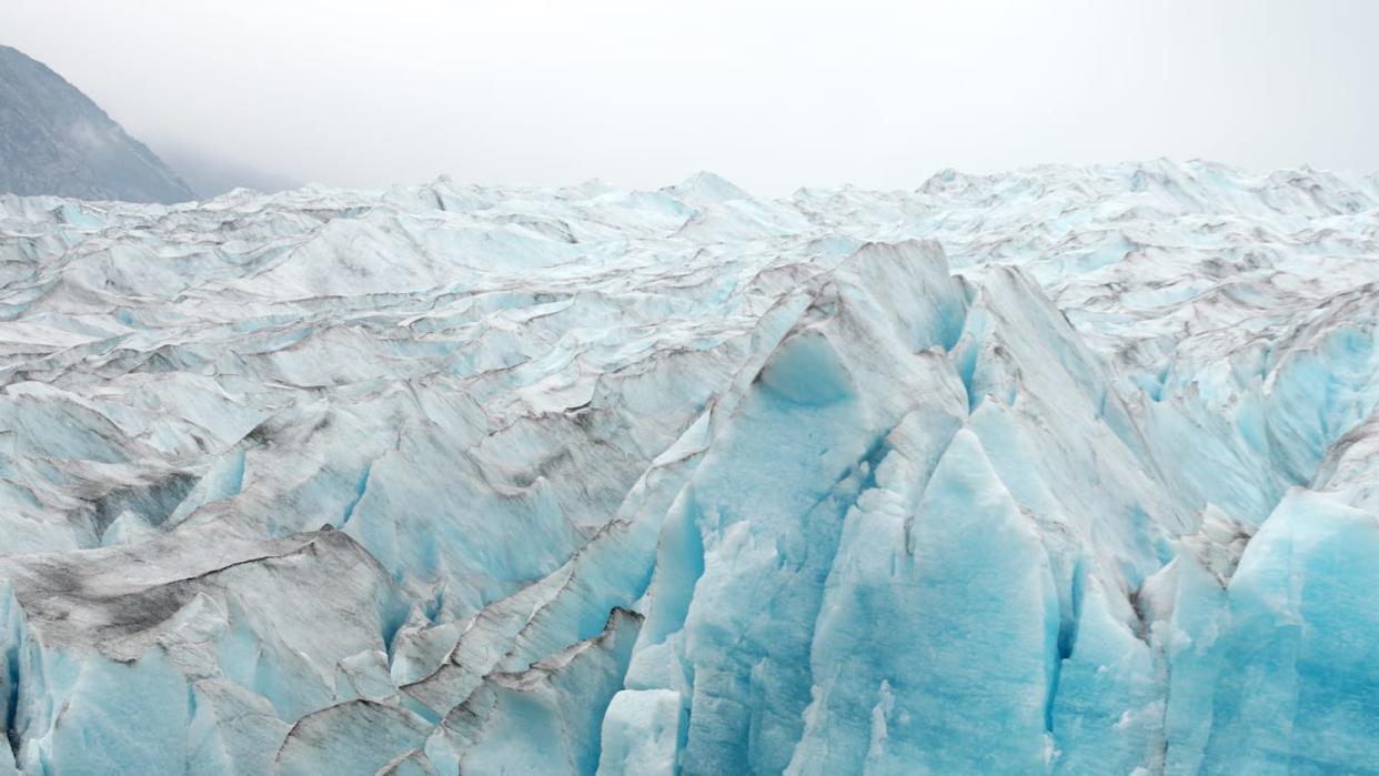 The face of Spencer Glacier has been receding almost a hundred feet each year.  The surface of the ice loses 12 inches of height every day.