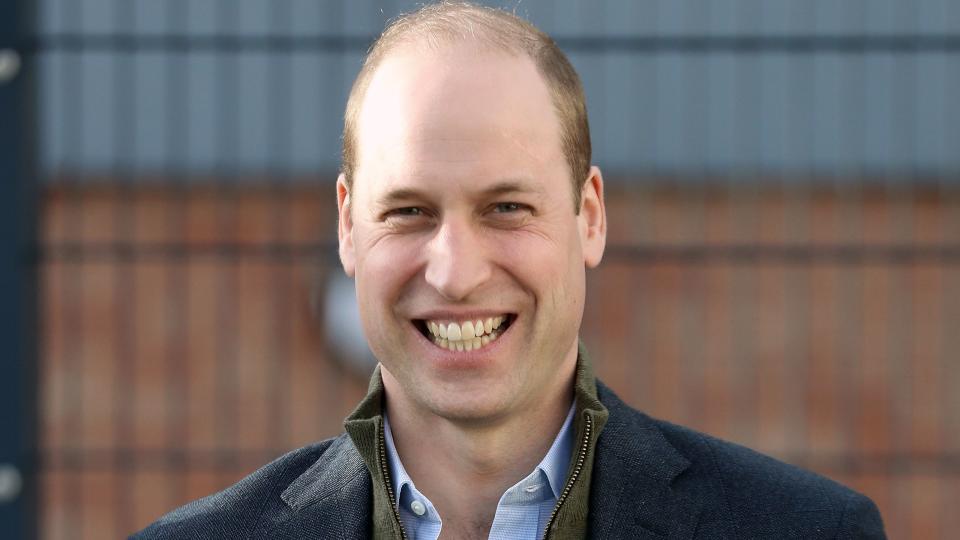 prince william the duke of cambridge