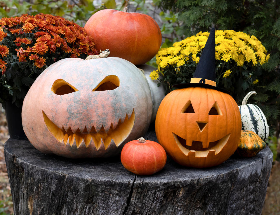 Kürbisse sind die Stars an Halloween. (Bild: Getty Images)