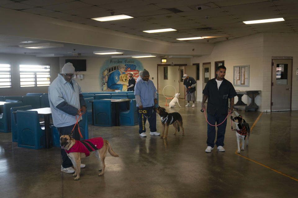 Prisoners stand with at-risk shelter dogs during a program designed to train the dogs to be adoptable at Valley State Prison in Chowchilla, Calif., Friday, Nov. 4, 2022. In a nation that incarcerates roughly 2 million people, the COVID pandemic was a nightmare for prisons. Overcrowding, subpar medical care and the ebb and flow of prison populations left most places unprepared to handle the spread of the highly contagious virus. (AP Photo/Jae C. Hong)