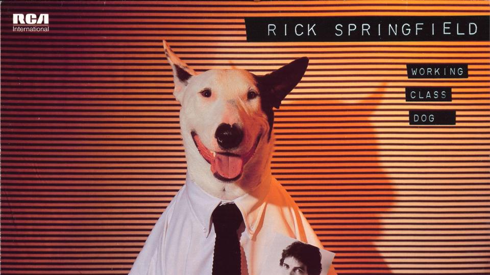 Rick Springfield Working Class Dog Cover