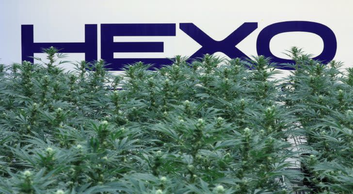 Hexo (HEXO) logo with marijuana plants in the foreground