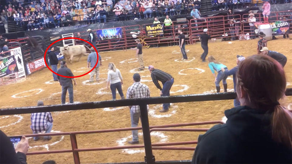 The spectators managed to dodge the first bull. Image: Beast Boiz/YouTube