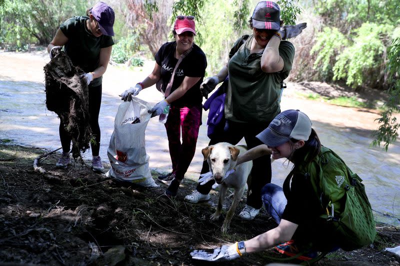 De aguas servidas a humedal: la vida salvaje retorna a río de capital chilena