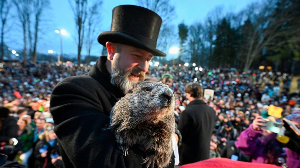 PHOTO: Groundhog Club handler A.J. Dereume holds Punxsutawney Phil, the weather prognosticating groundhog, during the 138th celebration of Groundhog Day on Gobbler's Knob in Punxsutawney, Pa., Feb. 2, 2024. (Barry Reeger/AP)