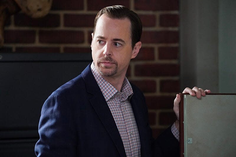 Sean Murray returns as Special Agent Timothy McGee.