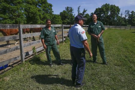 A prison guard stands with Ross Locascio (L) and inmate Scott Coyle at the State of New York Wallkill Correctional Facility prison farm in Wallkill, New York June 16, 2014. REUTERS/Shannon Stapleton