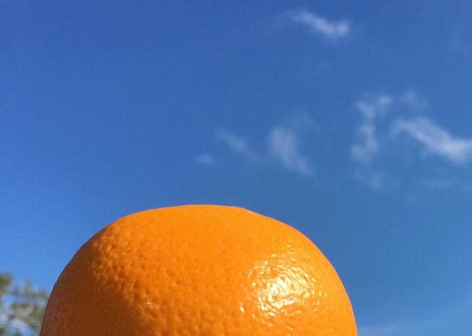 A winter's orange