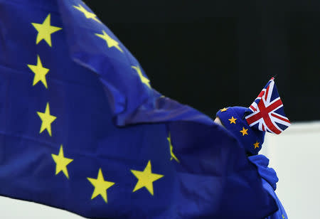 An anti-Brexit protester is seen outside the Houses of Parliament in London, Britain January 17, 2019. REUTERS/Clodagh Kilcoyne/Files