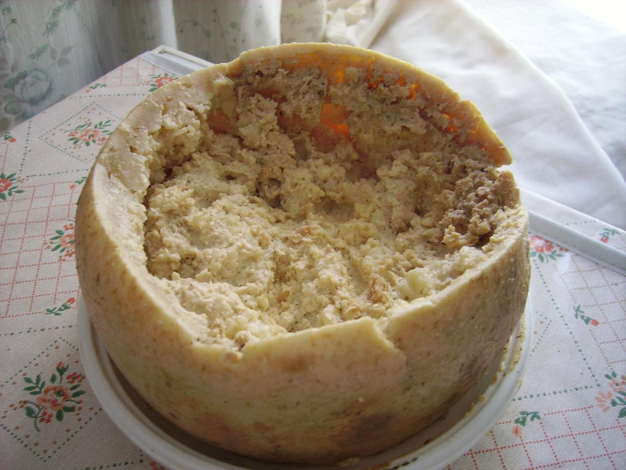 Casu Marzu, a type of cheese.