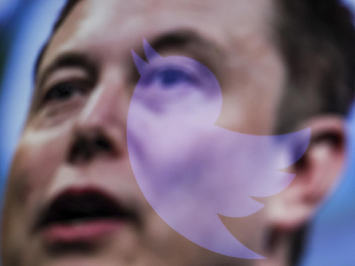Elon Musk's face on a computer screen with the logo of Twitter reflected on it.