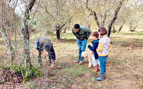 Truffle hunt Tuscany - Credit: Sally Peck