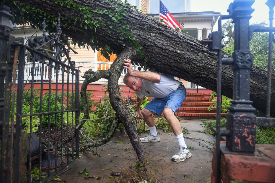 Doug Erickson begins the task of cleaning the large fallen pecan tree in front of the CW Worth House in Wilmington.