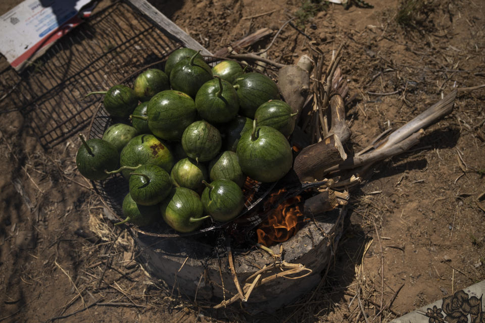A group of Palestinians cook roast watermelons as they prepare to make "Lasima," a dish that is popular in the southern Gaza Strip but shunned in its north, at a garden in Khuzaa, Gaza Strip, Saturday, May 20, 2023. Locals call it "watermelon salad." But this seasonal delicacy is far from the sweet, refreshing taste the name evokes. (AP Photo/Fatima Shbair)