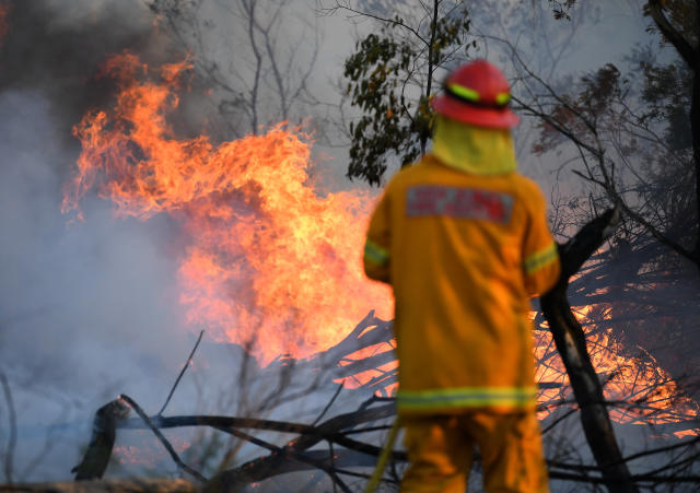 A photo shows a fire fighter from behind watching a fierce blaze burning in front of him.